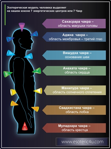 Энергетическая модель человека. Понятие о Чакрах