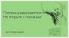 Спор -  это не уровень слов, а не способность к сотрудничеству....