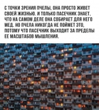 "Сбор хмеля" в описании у Роберта Монро, "Летуны" в описании Дона Хуана (Кастанеда) ... - о чём это?