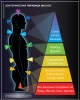Эзотерическая Пирамида Потребностей Человека - "Пирамида Маслоу"
