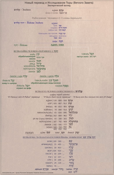 Родословная человека, Иерархия Сознаний. Ветвь Кайна - человека разумного, ветвь Шэта -  человека божественного. Послепотопное Человечество: ветвь Шэма. Эзотерический взгляд на Тору (Ветхий Завет)