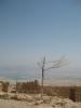 Крепость Массада. Вид на Мертвое Море.