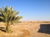 Поездка в Израиль 2014: Цофар. Ночевка в пустыне. Утро