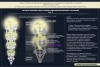 Пособие (статья) "Философия Эзотерики". Изображение "Распространение Света Творца: Иерархия вложенных Сознаний."